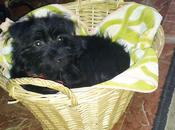 alegría tras semana horrible