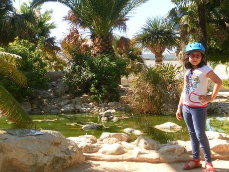 universidad, alicante, san vicente del raspeig, bicicleta, 