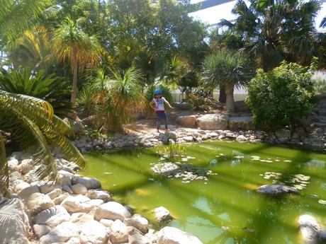 universidad, alicante, san vicente del raspeig, bicicleta, 