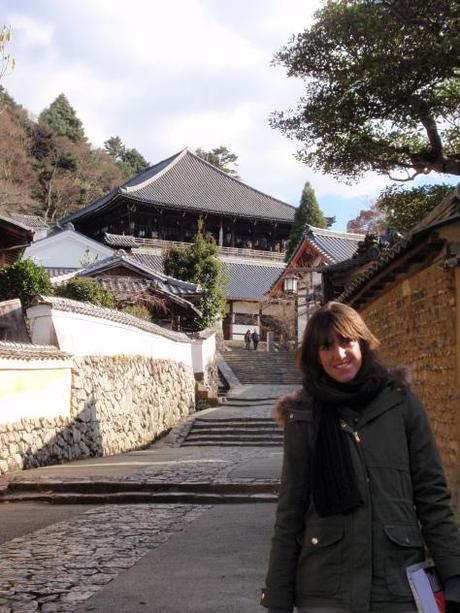 JAPON POR LIBRE (10 días) NARA