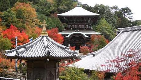 JAPON POR LIBRE (10 días) miyajima