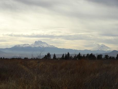 CÓMO PREPARAR UNA EXCURSIÓN AMBIENTAL DE ÉXITO