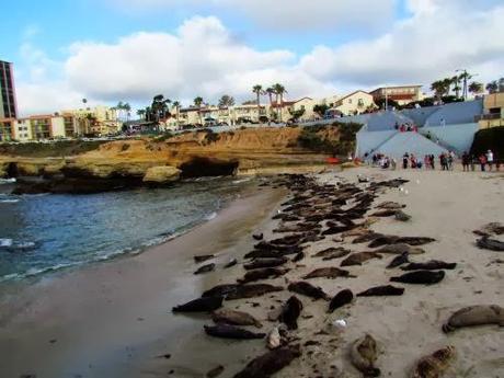 Playas en San Diego. California