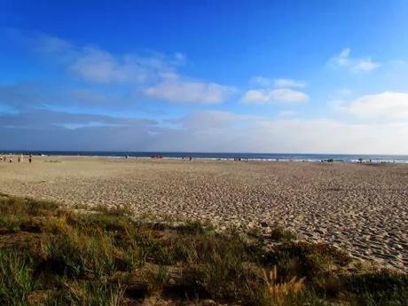 Playas en San Diego. California