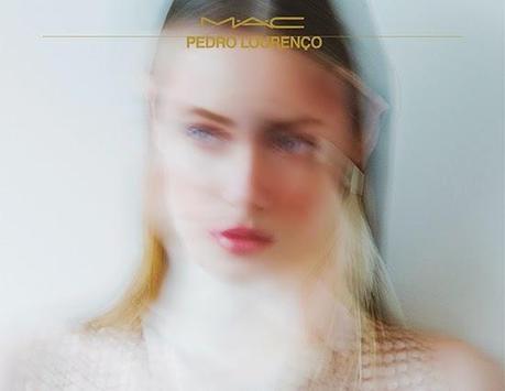 Colección Pedro Laurenço MAC