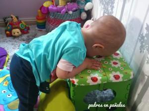semana-a-semana-21-de-pie