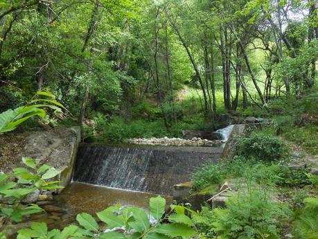 Lugares con encanto, bosques, ríos