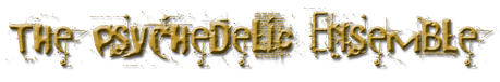 ENTREVISTA A THE PSYCHEDELIC ENSEMBLE