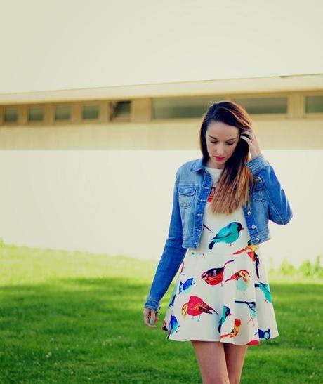 TE PINTARON PAJARITOS TE PINTARON PAJARITOS