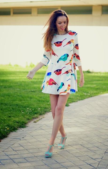 TE PINTARON PAJARITOS TE PINTARON PAJARITOS