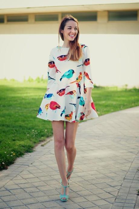 TE PINTARON PAJARITOS TE PINTARON PAJARITOS