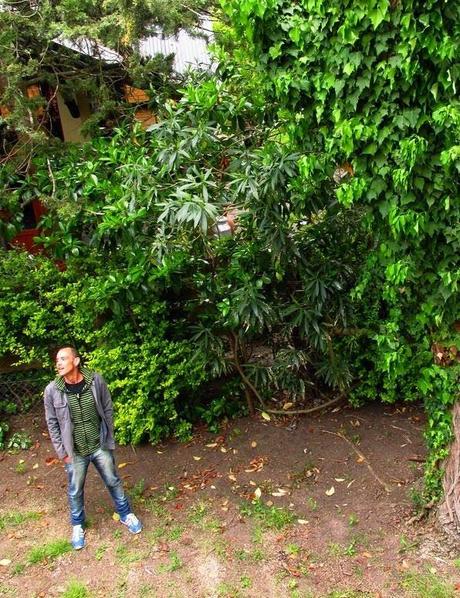 Joaquín Valenzuela, la lavandera