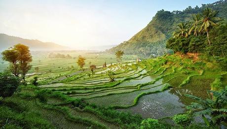 Reír al viento - Sandra Barneda