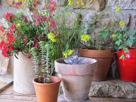 Quedamos en.... un rincón verde Quedamos en.... un rincón verde