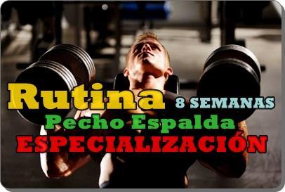 Rutina de Pecho Espalda : 8 semanas de entrenamiento
