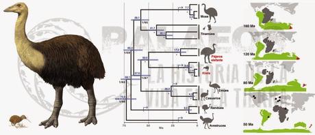Kiwis, balrog y Súper Mario