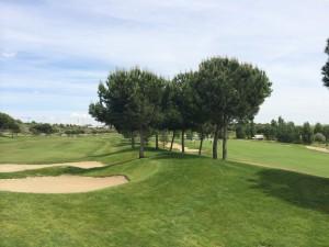 Foto de las Calles del 12 y el 13