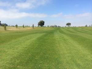 Faisanera_TorneoECI_3