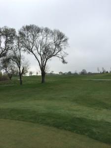 Faisanera_TorneoECI_1