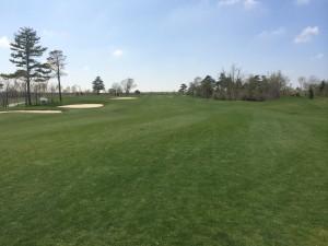 Faisanera_TorneoECI_6