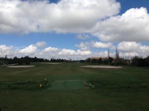 Riocerezo 2014-04-06 12.51.42