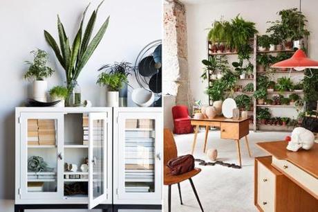 Quedamos-en-un-rincón-verde