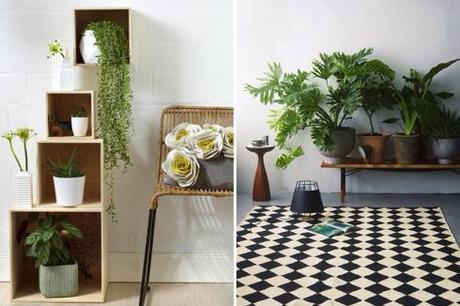 Quedamos-en-un-rincón-verde-2