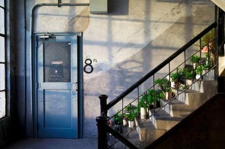 Quedamos-en-un-rincón-verde-4