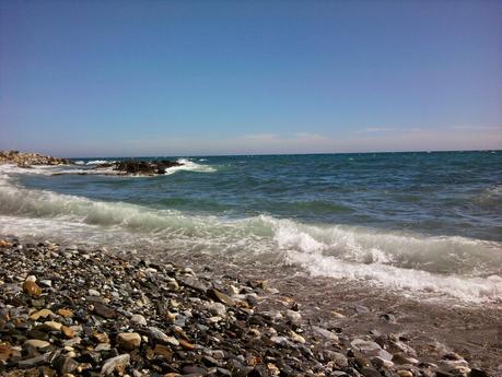 ENSALADA TEMPLADA DE COGOLLOS CON ATUN FRESCO