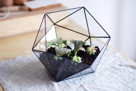 QUEDAMOS EN...UN RINCÓN VERDE