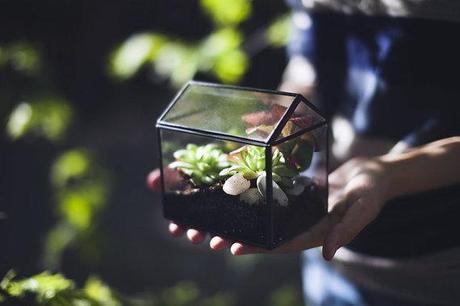 QUEDAMOS EN...UN RINCÓN VERDE