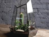 Quedamos en...un rincón verde