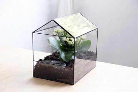 QUEDAMOS EN...UN RINCÓN VERDE