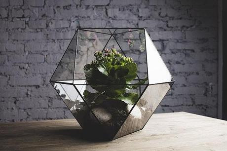 QUEDAMOS EN...UN RINCÓN VERDE