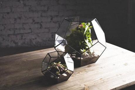 QUEDAMOS EN...UN RINCÓN VERDE