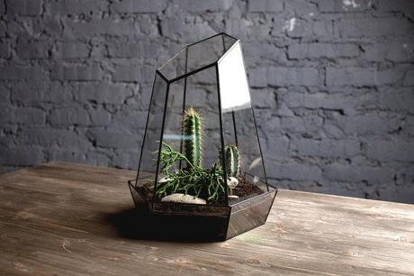 QUEDAMOS EN...UN RINCÓN VERDE