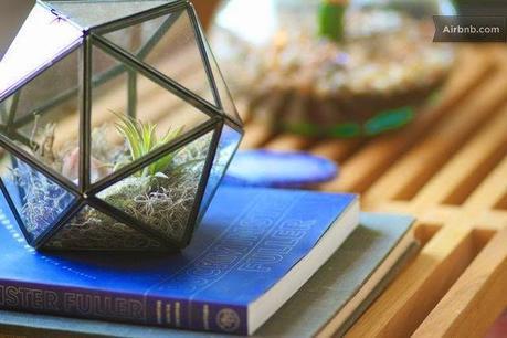 UN COQUETO APARTAMENTO... EN EL DESIERTO