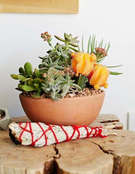 UN COQUETO APARTAMENTO... EN EL DESIERTO