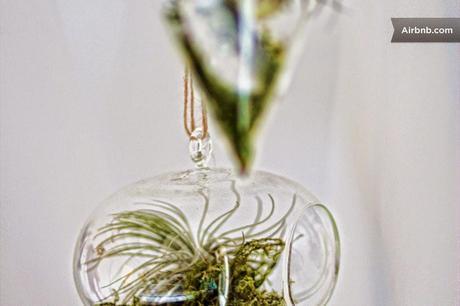 UN COQUETO APARTAMENTO... EN EL DESIERTO