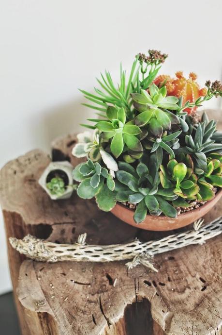 UN COQUETO APARTAMENTO... EN EL DESIERTO