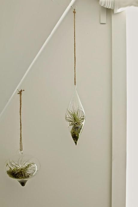 UN COQUETO APARTAMENTO... EN EL DESIERTO