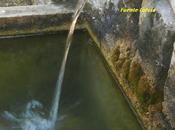 Proyecto Conoce Fuentes