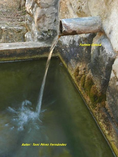 El Proyecto Conoce Tus Fuentes