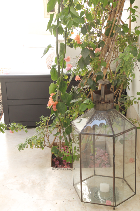 quedamos en un rincón verde