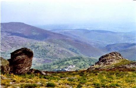 Hermisende o su derecho a decidir ser... español Hermisende o su derecho a decidir ser... español