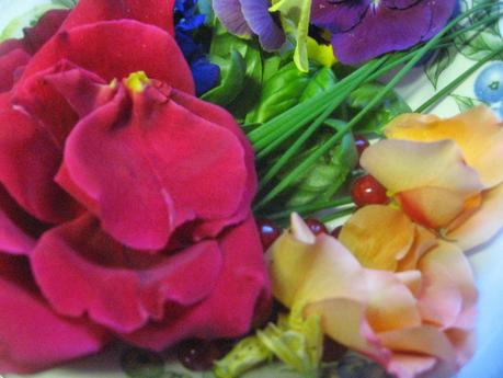 UN SUEÑO EN EL JARDÍN DE CASA