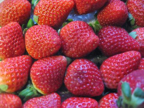 UN SUEÑO EN EL JARDÍN DE CASA