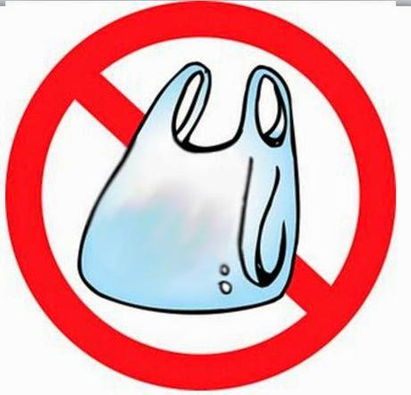 Efectos luego de la “prohibición de bolsas plásticas”