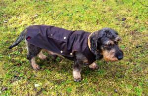 Barbour: y la chaqueta se hizo mito LUR