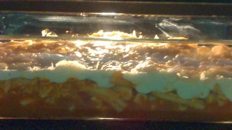 PASTA CON TOMATE Y BECHAMEL AL HORNO PASTA CON TOMATE Y BECHAMEL AL HORNO